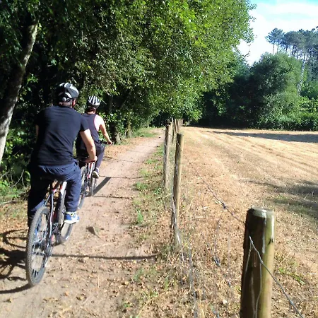Treehouse Quinta Lamosa Chalet Arcos de Valdevez