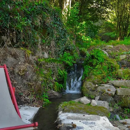 Treehouse Quinta Lamosa Chalet