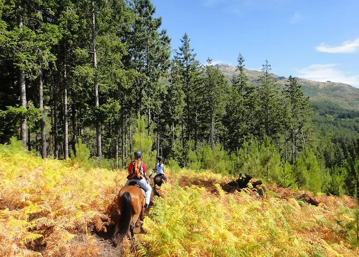 Chalet Treehouse Quinta Lamosa
