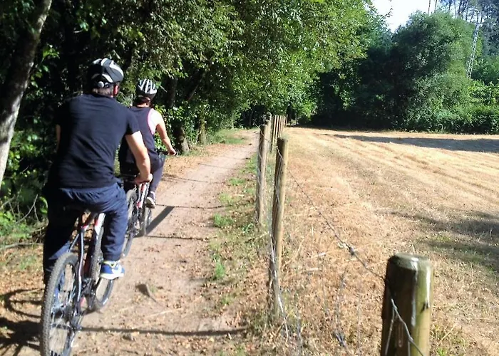 Treehouse Quinta Lamosa Chalet Arcos de Valdevez