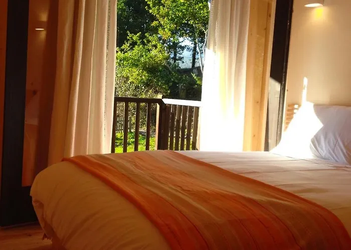 Treehouse Quinta Lamosa *